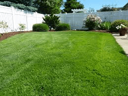 Why You Should Hire A Lawn Aerator