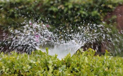 Sprinkler Systems – What You Need to Know