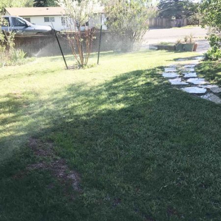 Healthy Lawn Solutions for Better Growth